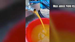 Máy ép trái cây thủy lực mạnh mẽ cho mục đích thương mại