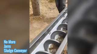 Băng tải không bị rối Bảo trì dễ dàng