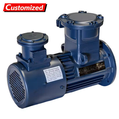 Giá tốt. Flameproof 5.5~11kW 750rpm Three-Phase Asynchronous Motor with Variable Frequency Drive for Industrial Applications trực tuyến