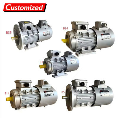 Giá tốt. 1400 RPM Three-Phase AC Variable Frequency Drive Motor with Soft Start and Stepless Speed Regulation trực tuyến